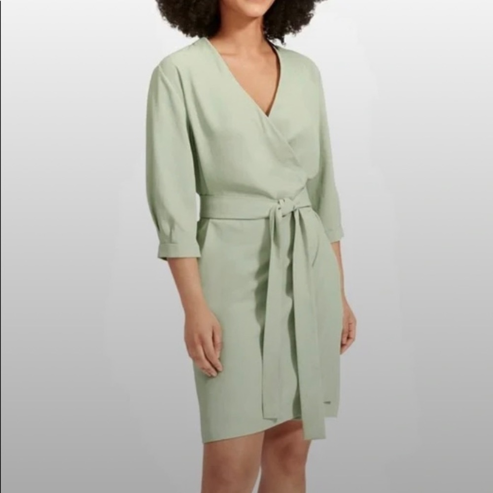 Everlane goweave long sleeve mini wrap dress